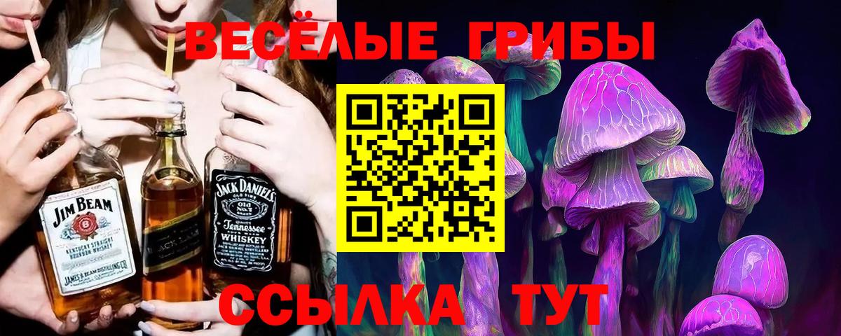 Галлюциногенные грибы Magic Shrooms  Вход с VPN  купить   Сертолово 